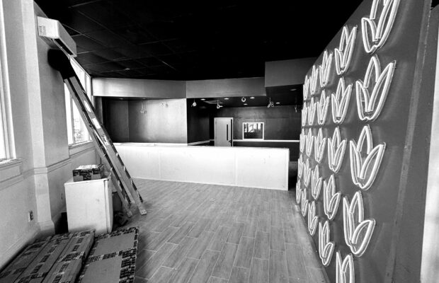 Transforming Retail Spaces: Tirso Lighting's Custom Solutions for Nature's Motivation Dispensary